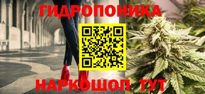 мдпв Дубна