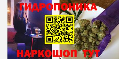 ешки Донецк